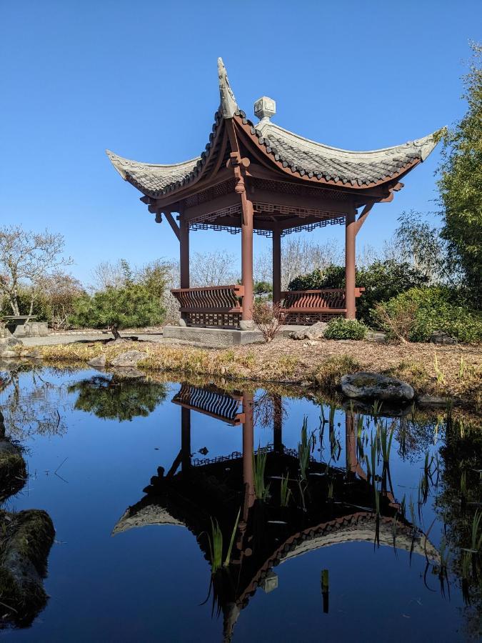 High Point Guesthouse - Next To Seattle Chinese Garden Екстериор снимка